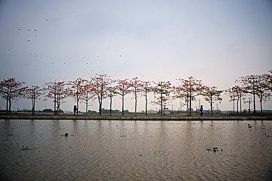 《心灵杀手2：湖边小屋》IGN 8分：本体的良好补充